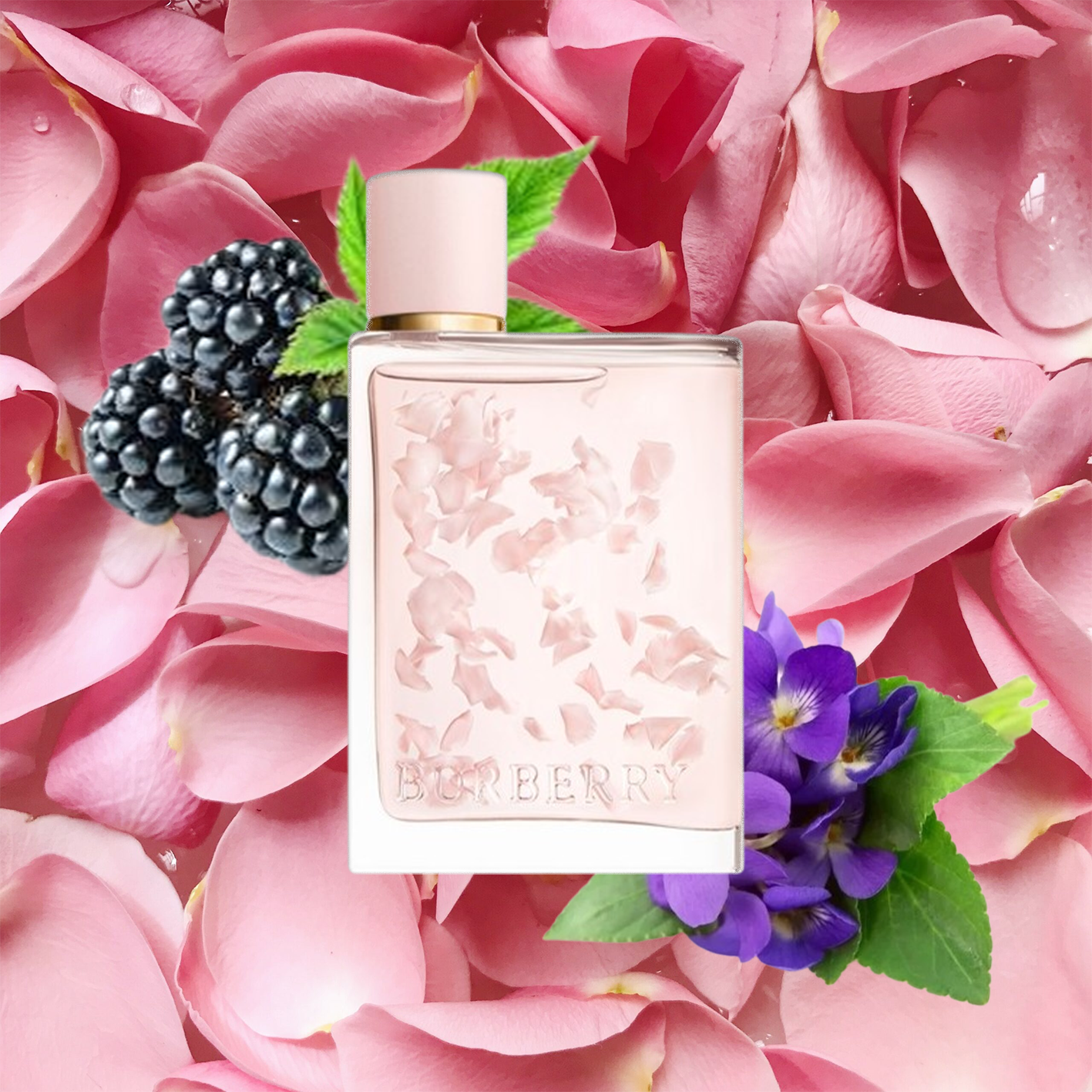 Burberry+Her+Petals.png